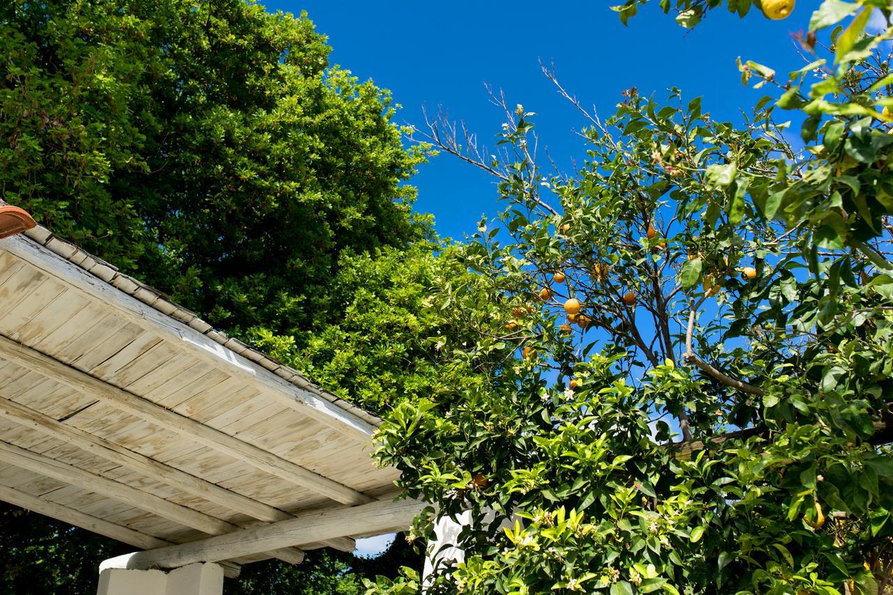 Villa Le Querce Procida Exterior foto