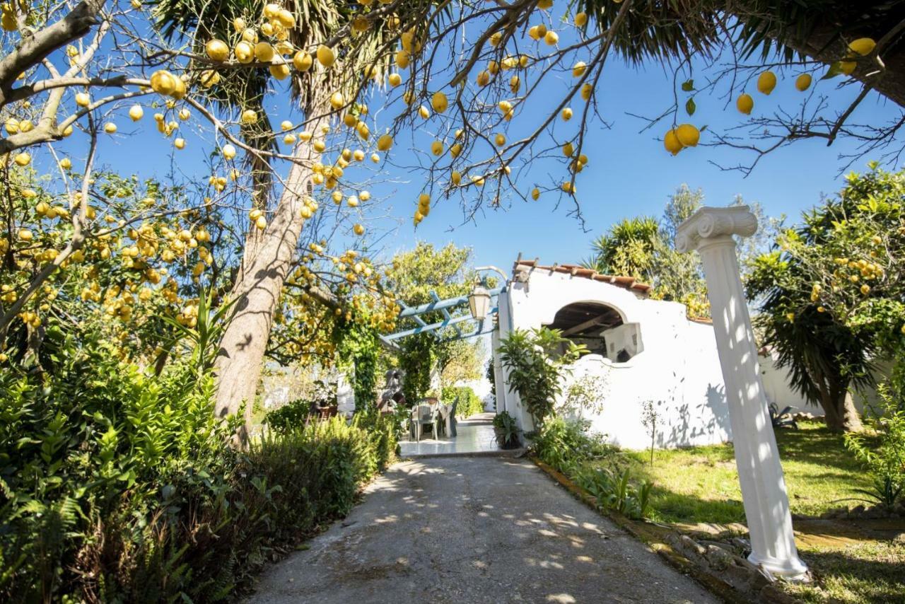 Villa Le Querce Procida Exterior foto