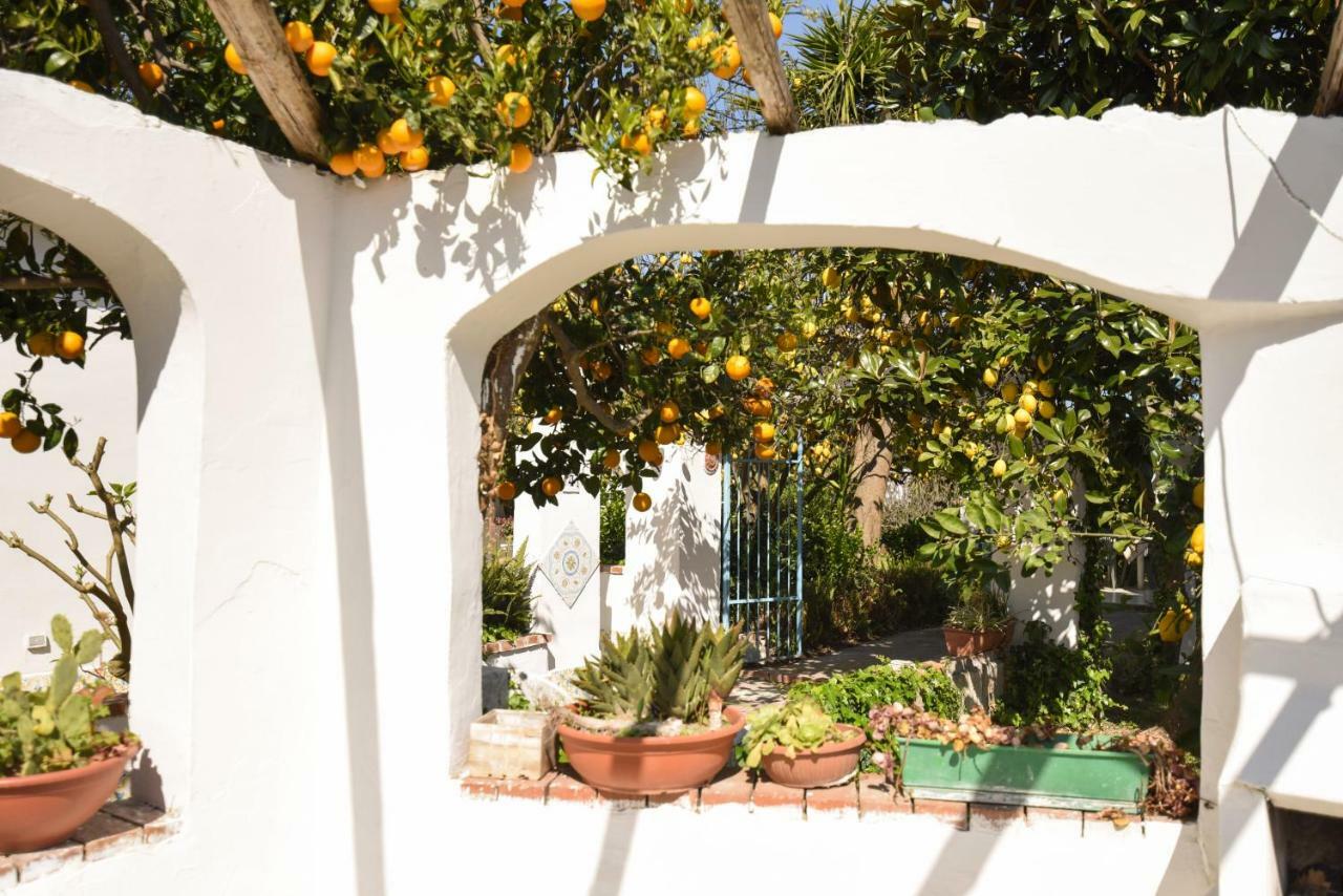 Villa Le Querce Procida Exterior foto
