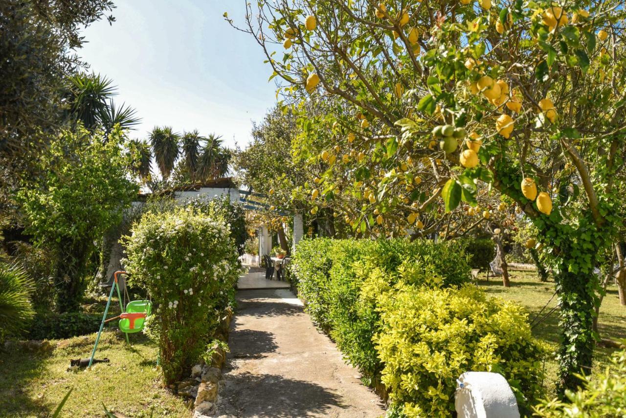 Villa Le Querce Procida Exterior foto