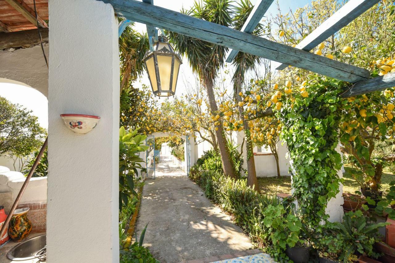 Villa Le Querce Procida Exterior foto